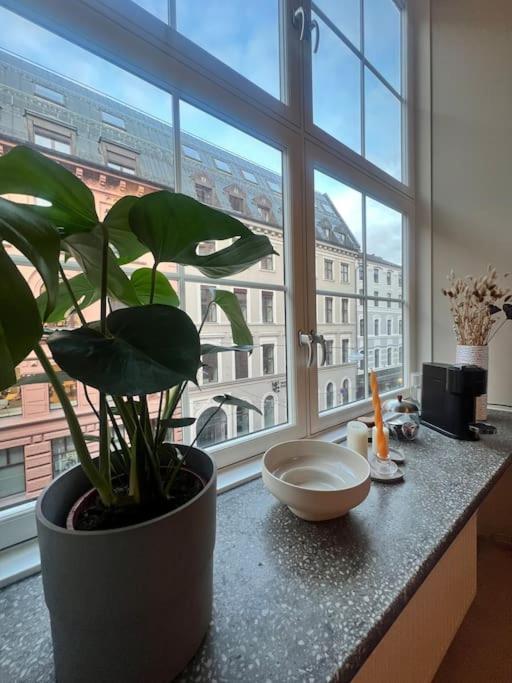 Koselig Leilighet I Sentrum Av Oslo Med Byutsikt! Экстерьер фото